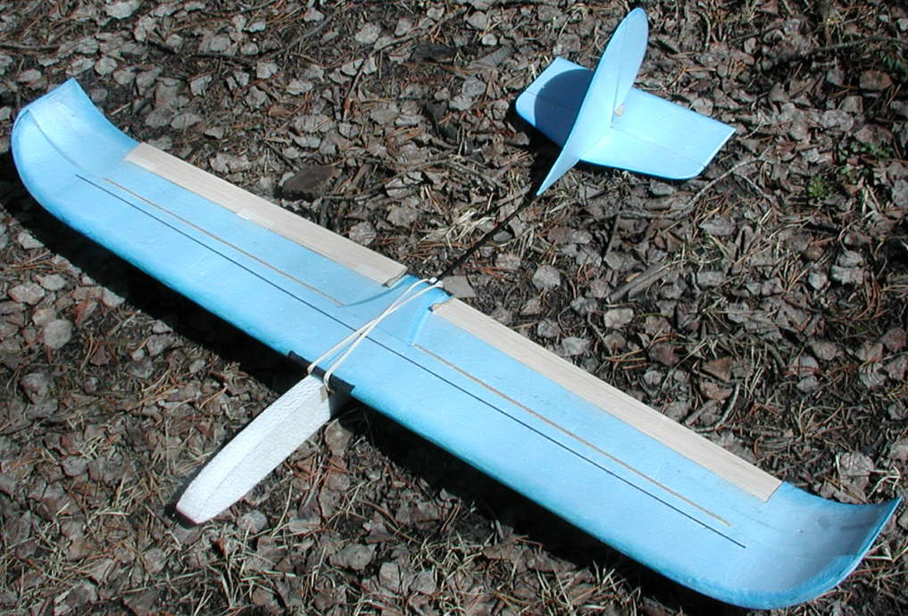 The DANCER Powered and Hand Launch Gliders